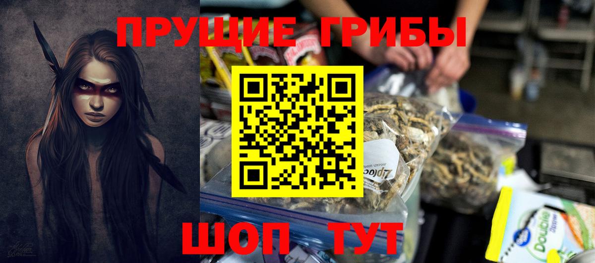 Псилоцибиновые грибы GOLDEN TEACHER  Вход с VPN  Десногорск 